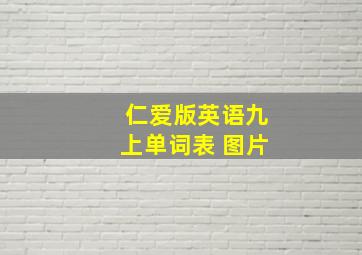 仁爱版英语九上单词表 图片